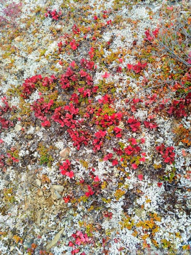 Куда уезжают куклы. Чукотка. Часть 4