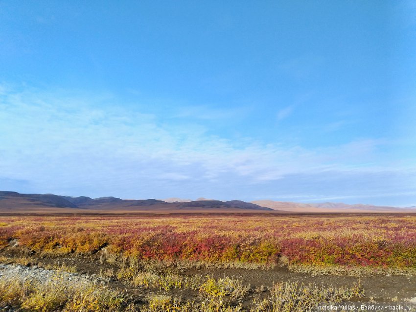 Куда уезжают куклы. Чукотка. Часть 4