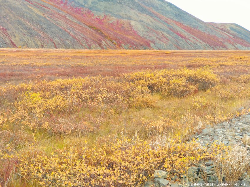 Куда уезжают куклы. Чукотка. Часть 4