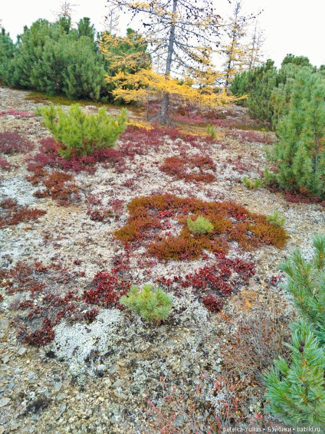 Куда уезжают куклы. Чукотка. Часть 4