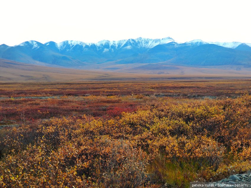 Куда уезжают куклы. Чукотка. Часть 4