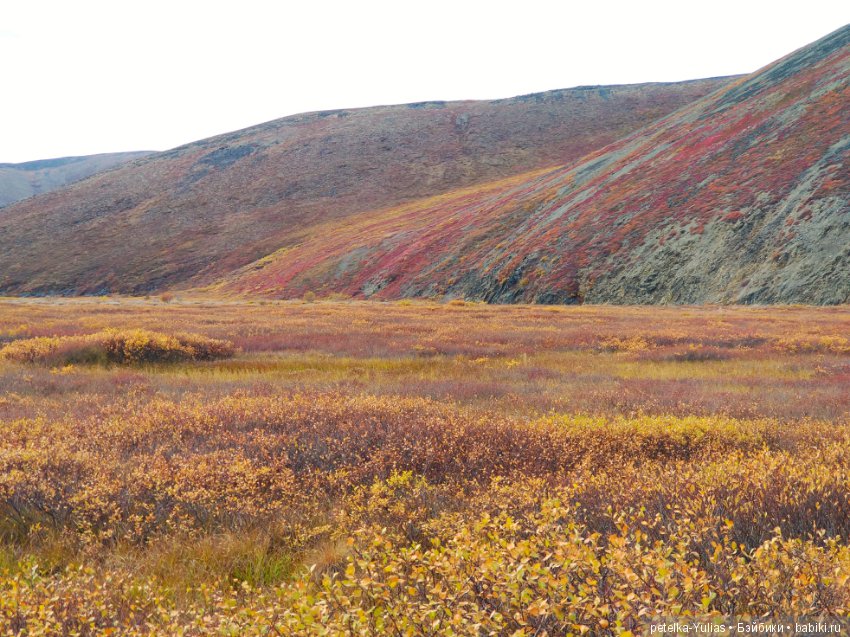 Куда уезжают куклы. Чукотка. Часть 4