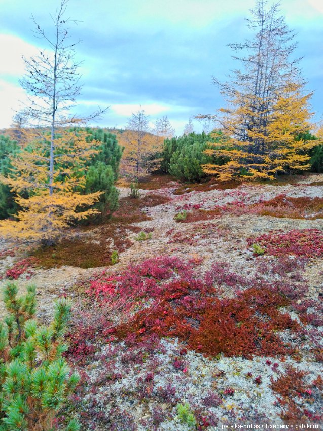 Куда уезжают куклы. Чукотка. Часть 4