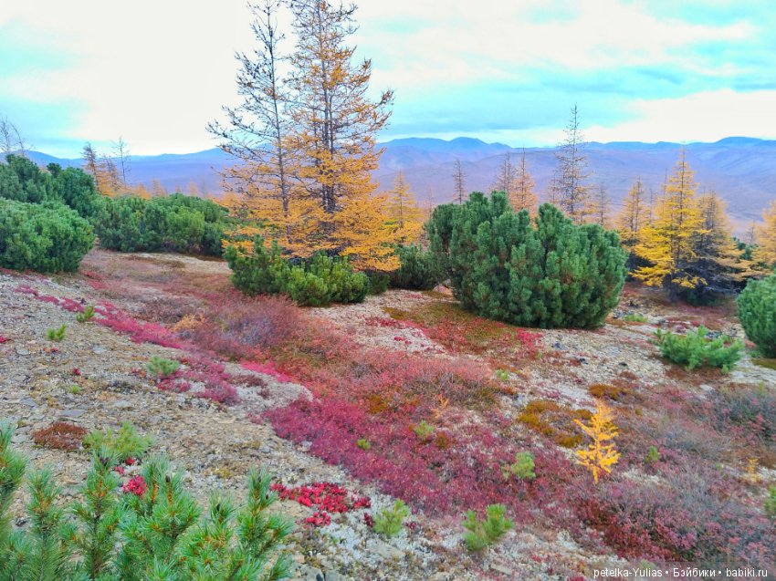 Куда уезжают куклы. Чукотка. Часть 4