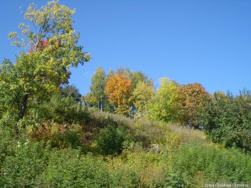 Поздравляем всех Наташ — Болталка и разговоры обо всем: жизнь (фото 6)