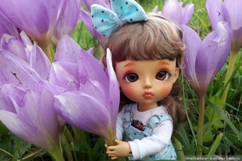 Тёплая осень... цветы в саду (фото 8)