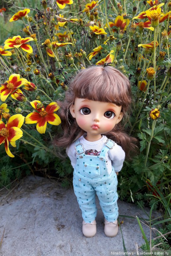 Тёплая осень... цветы в саду