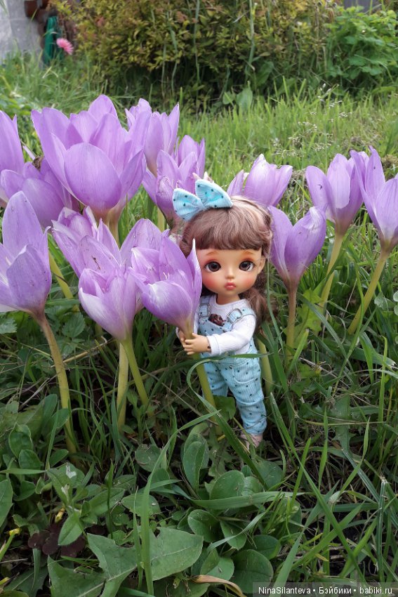 Тёплая осень... цветы в саду (фото 7)