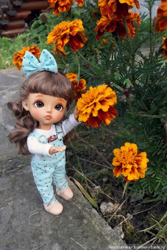 Тёплая осень... цветы в саду (фото 6)