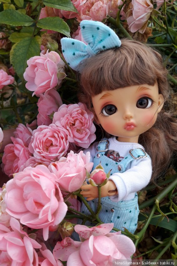 Тёплая осень... цветы в саду