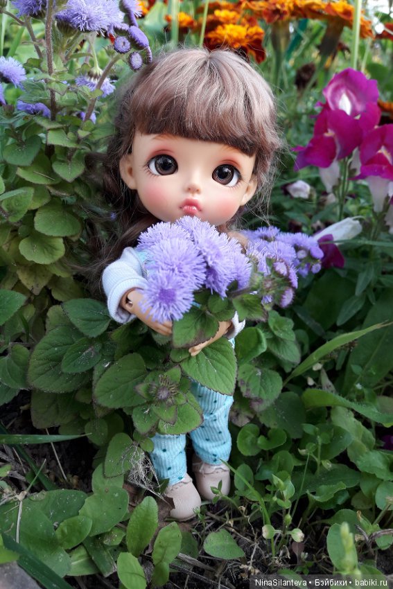 Тёплая осень... цветы в саду