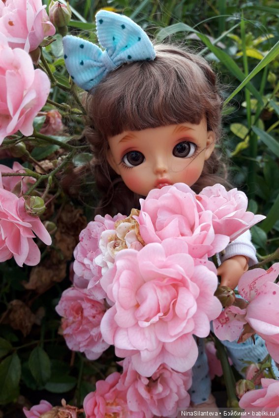 Тёплая осень... цветы в саду