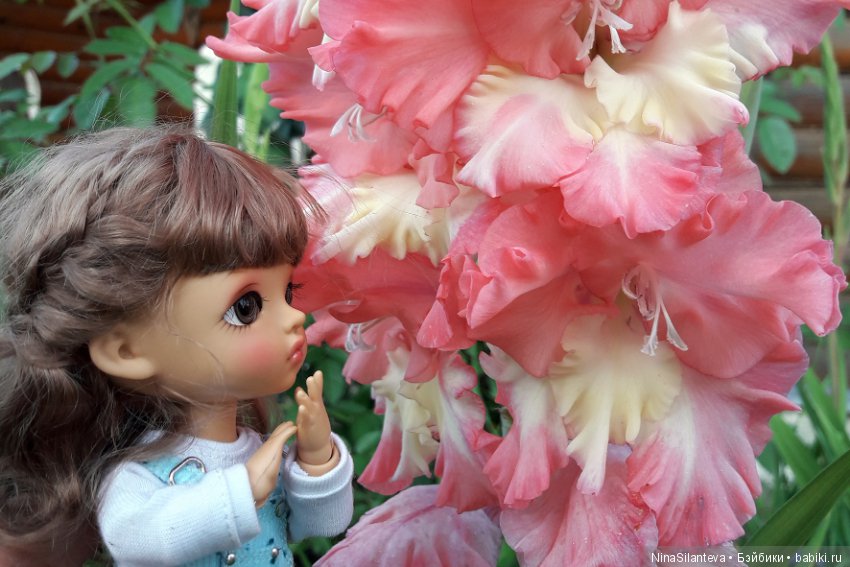 Тёплая осень... цветы в саду