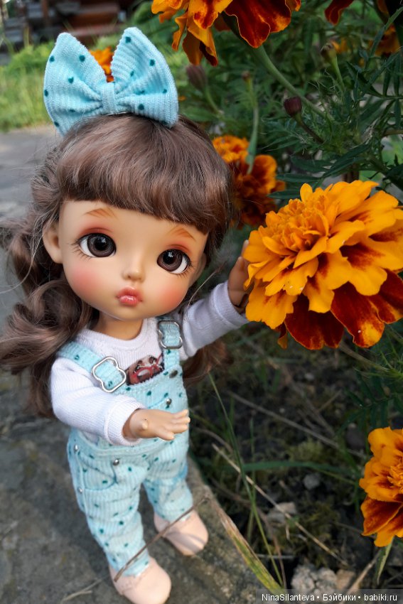 Тёплая осень... цветы в саду (фото 5)