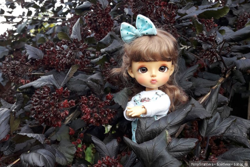 Тёплая осень... цветы в саду