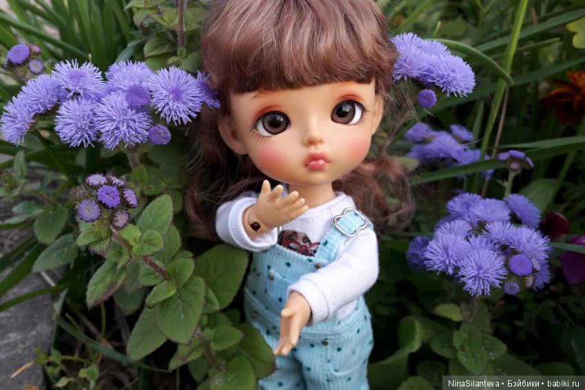 Тёплая осень... цветы в саду