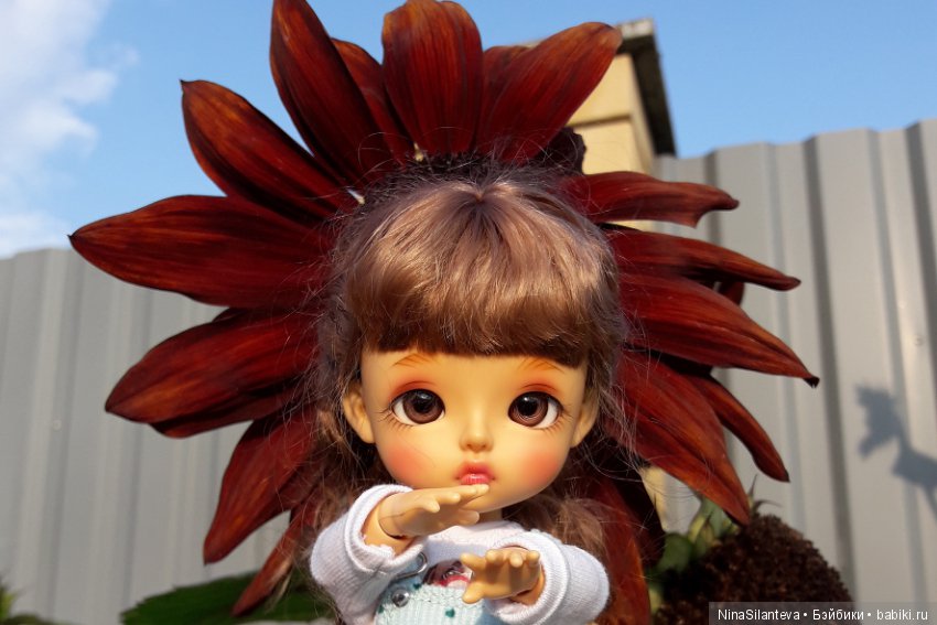 Тёплая осень... цветы в саду