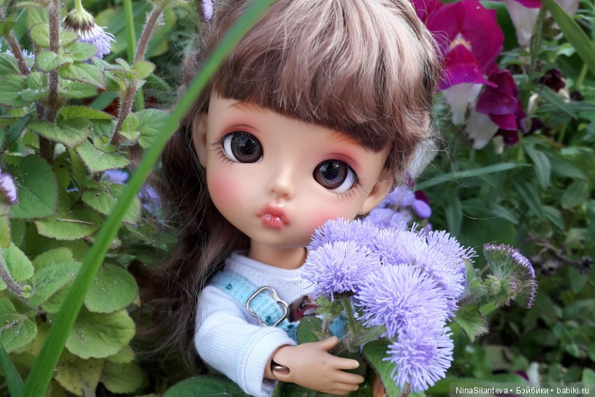 Тёплая осень... цветы в саду