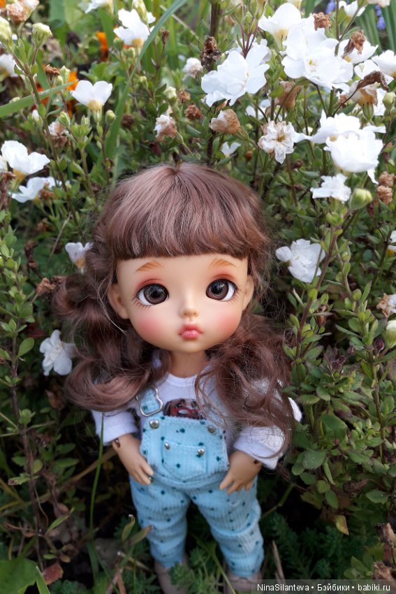 Тёплая осень... цветы в саду