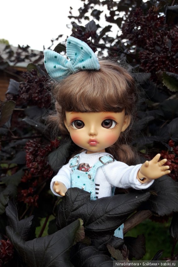 Тёплая осень... цветы в саду