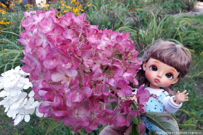 Тёплая осень... цветы в саду