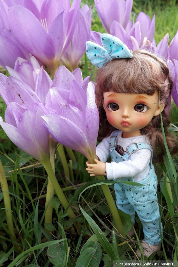 Тёплая осень... цветы в саду (фото 9)