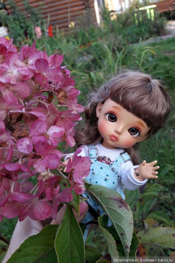 Тёплая осень... цветы в саду