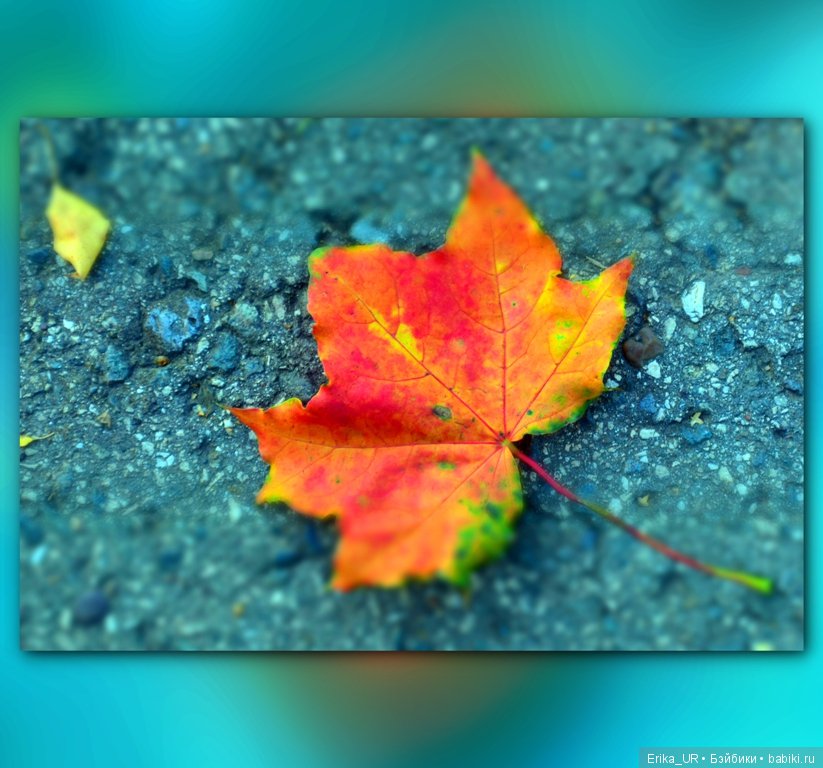 Перепись КуклоНаселения и Кукло-цвето-терапия бабьего лета