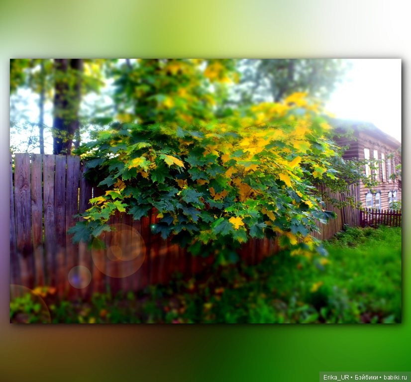 Перепись КуклоНаселения и Кукло-цвето-терапия бабьего лета