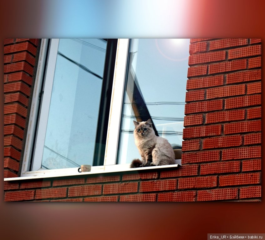 Перепись КуклоНаселения и Кукло-цвето-терапия бабьего лета