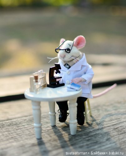 Мышки-медики — Валяные игрушки из шерсти: сухое валяние