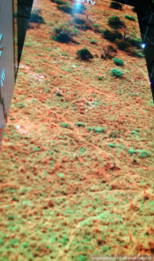 Крым- Симферополь- Судак, путешествие двух сестер (фото 2)