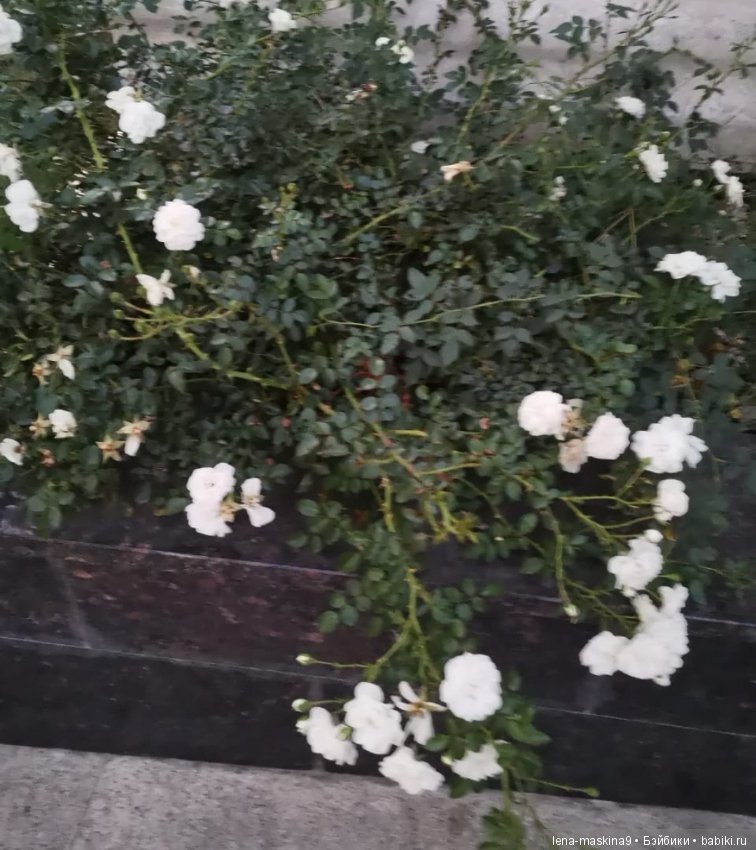 Крым- Симферополь- Судак, путешествие двух сестер