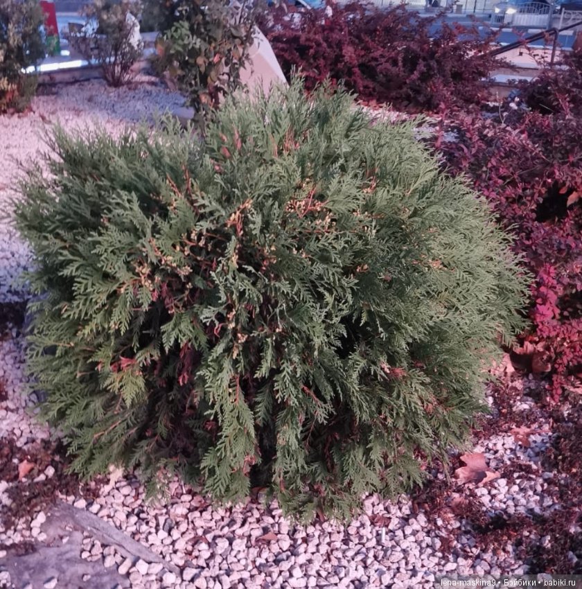 Крым- Симферополь- Судак, путешествие двух сестер