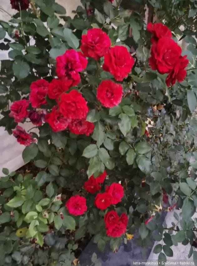 Крым- Симферополь- Судак, путешествие двух сестер