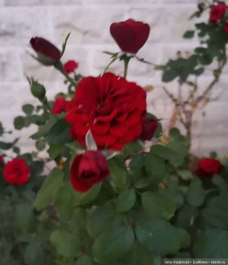 Крым- Симферополь- Судак, путешествие двух сестер