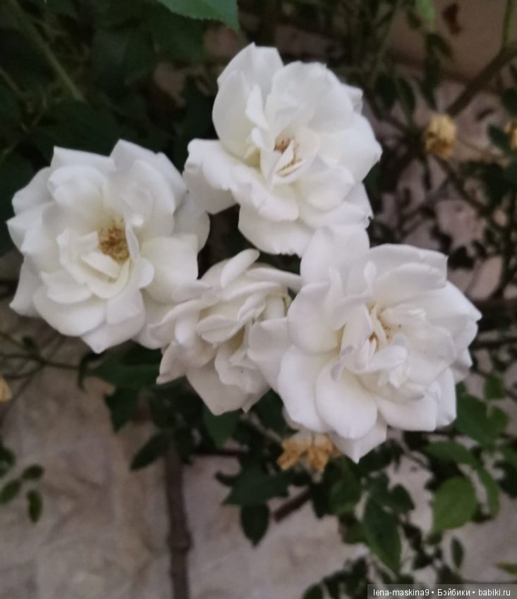 Крым- Симферополь- Судак, путешествие двух сестер