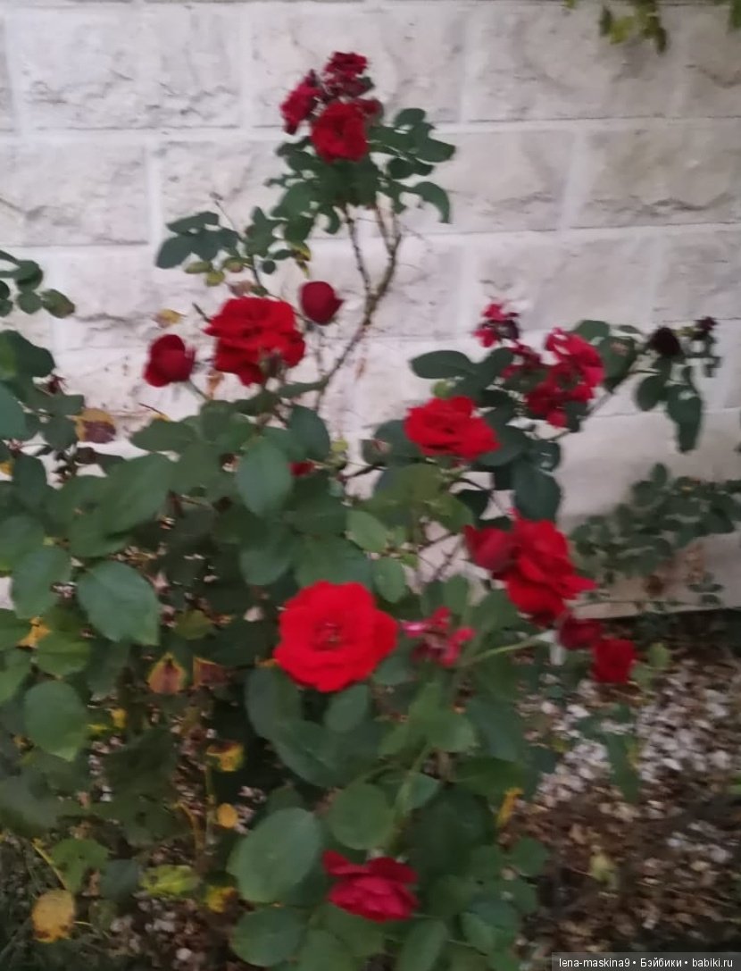 Крым- Симферополь- Судак, путешествие двух сестер