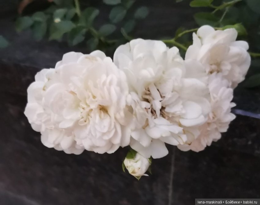 Крым- Симферополь- Судак, путешествие двух сестер