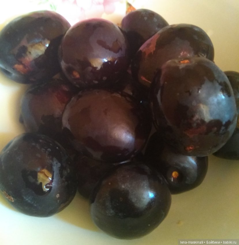 Крым-Судак, сестры отдыхают на море (фото 6)