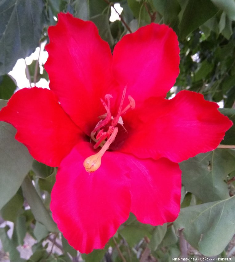 Крым-Судак, сестры отдыхают на море