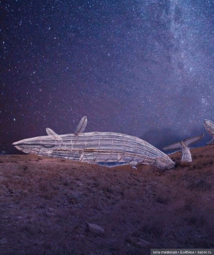 Крым-Меганом-Коктебель — Коллекционные экшн