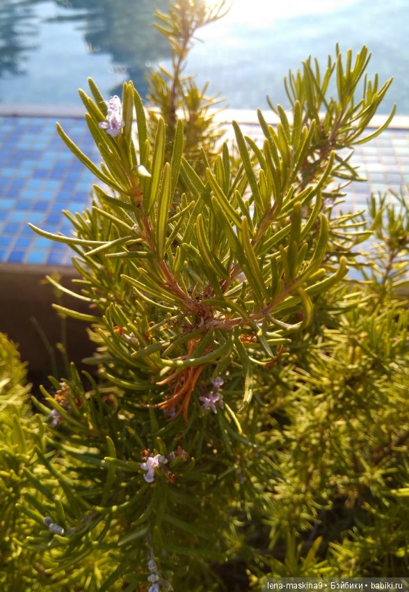 Отдых в Судаке - две сестры. Часть третья