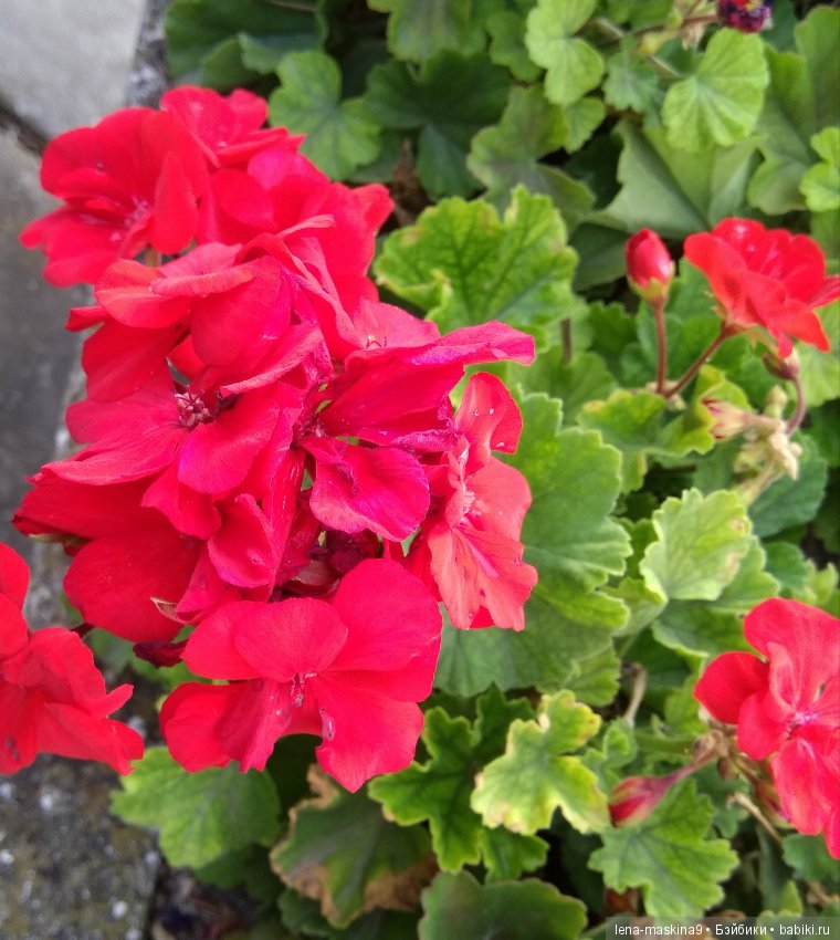 Отдых в Судаке - две сестры. Часть третья