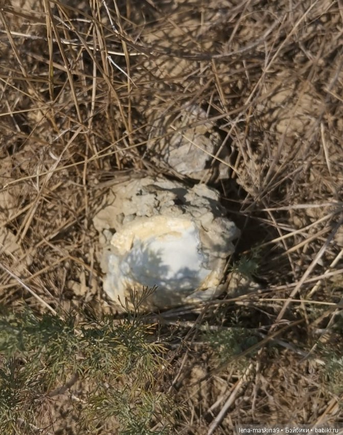 Крым-Меганом-Коктебель — Коллекционные экшн