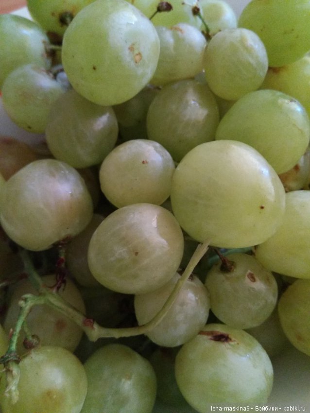 Крым-Судак, сестры отдыхают на море