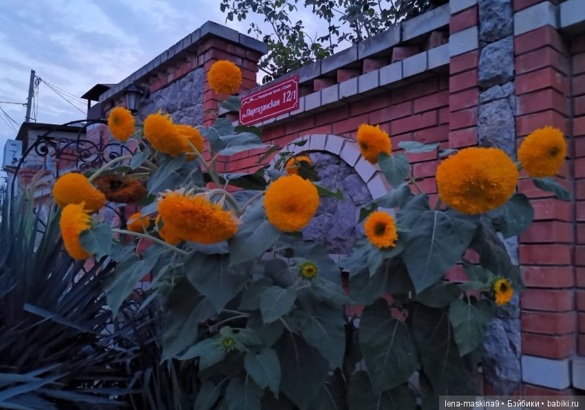 Отдых в Судаке - две сестры. Часть третья