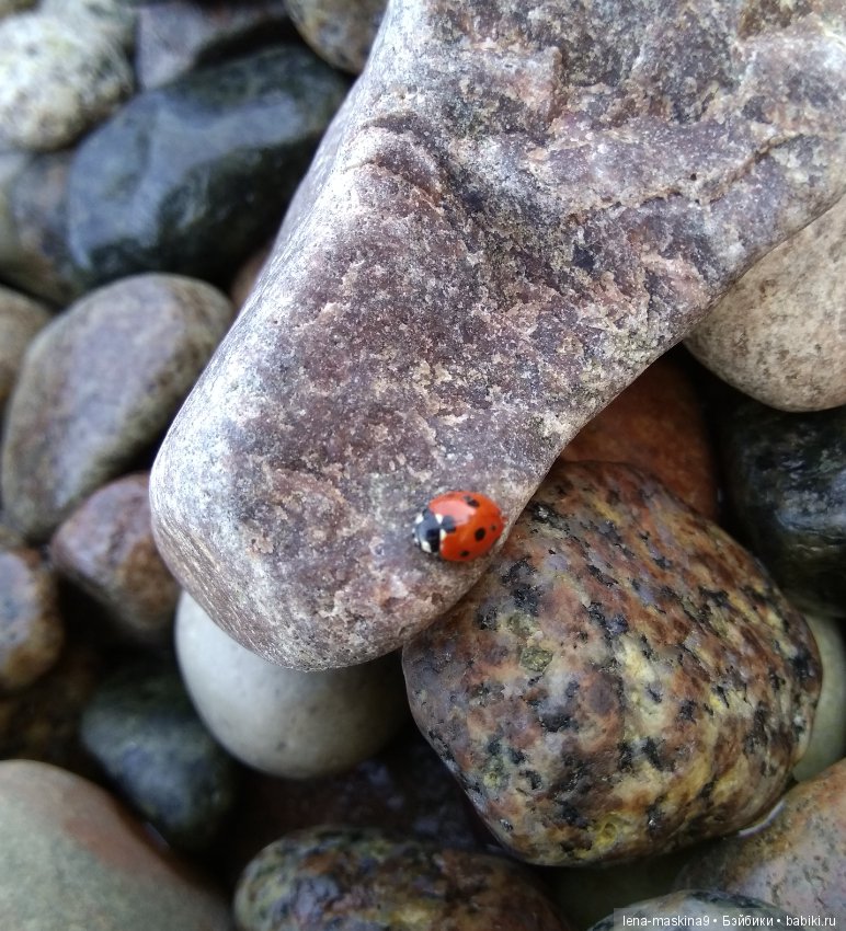 Море, солнце, отдых в Крыму, в Судаке
