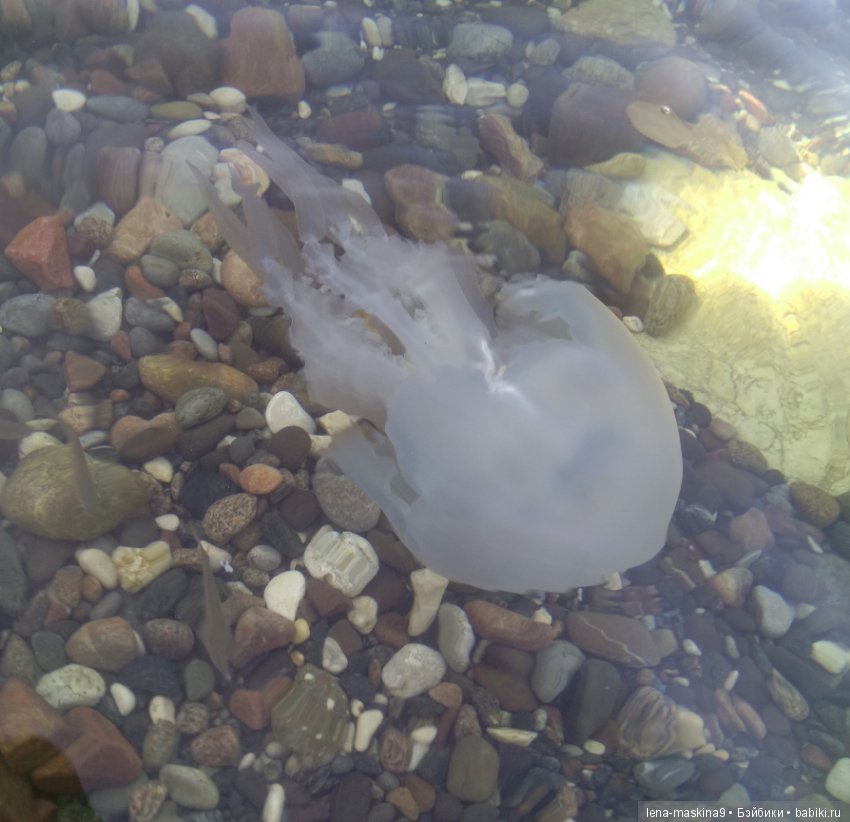 Море, солнце, отдых в Крыму, в Судаке