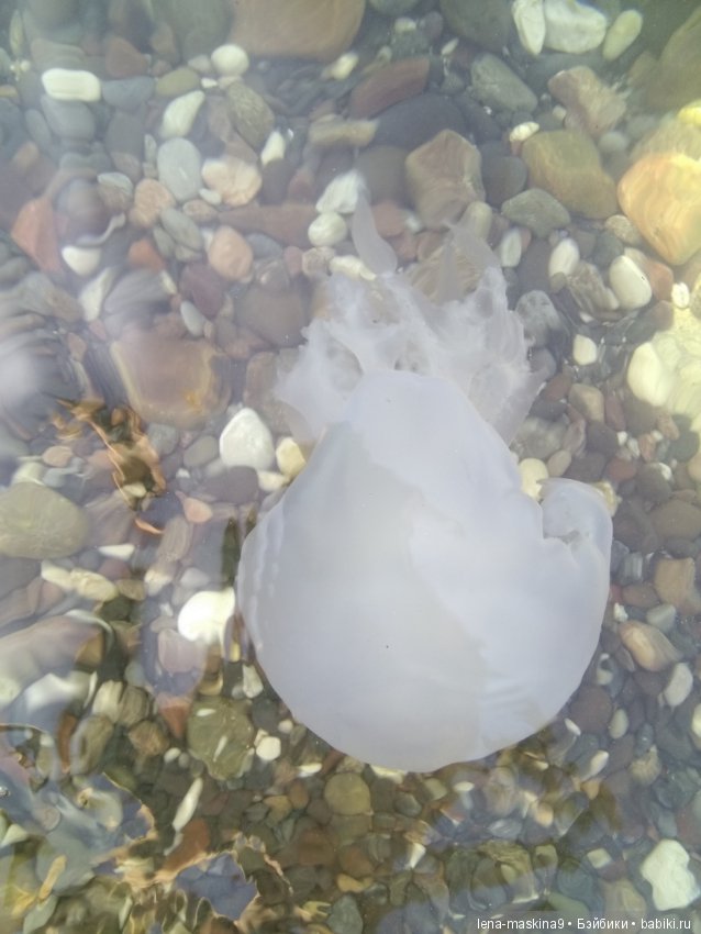 Море, солнце, отдых в Крыму, в Судаке